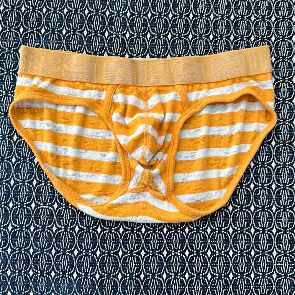 C-IN2 Hand Me Down Briefs